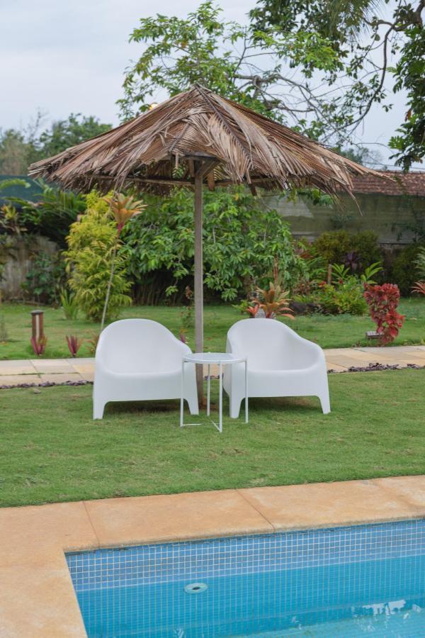 Roca Santo Antonio Ecolodge Sao Tome Eksteriør bilde